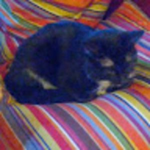 Meet your Posher, Edie